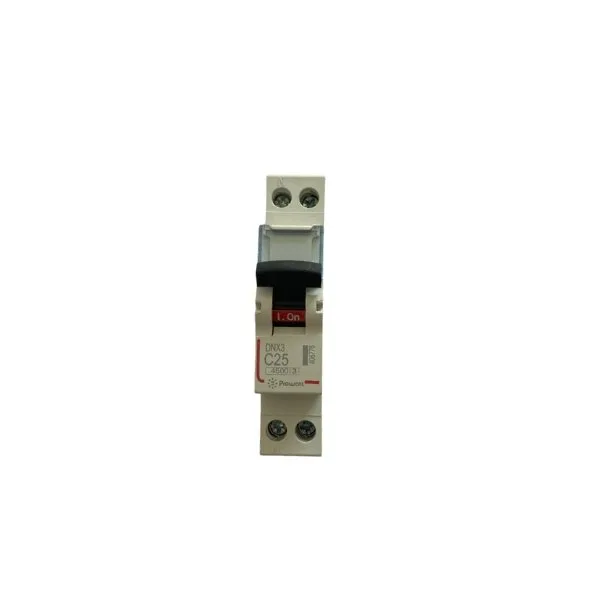 Disjoncteur 1P+N 25A